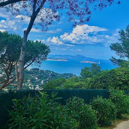 Charming & Peaceful Apartment Begur With Swimming Pool Eksteriør bilde